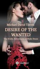 Desire of the Wanted - The Erotic Adventures of Blake Stone