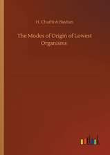 The Modes of Origin of Lowest Organisms