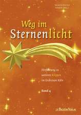 Weg im Sternenlicht 04