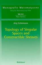 Topology of Singular Spaces and Constructible Sheaves