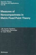 Measures of Noncompactness in Metric Fixed Point Theory