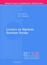 Lectures on Algebraic Quantum Groups