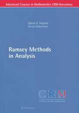 Ramsey Methods in Analysis