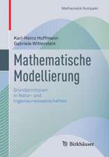 Mathematische Modellierung: Grundprinzipien in Natur- und Ingenieurwissenschaften