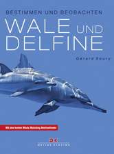 Wale und Delfine