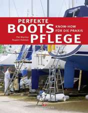 Perfekte Bootspflege