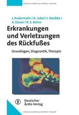 Erkrankungen und Verletzungen des Rückfußes