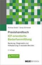 Praxishandbuch ICF-orientierte Bedarfsermittlung