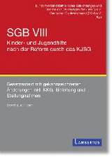 SGB VIII - Kinder- und Jugendhilfe nach der Reform durch das KJSG