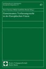 Gemeinsames Verfassungsrecht in der Europäischen Union