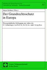 Der Grundrechtsschutz in Europa