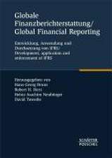 Globale Finanzberichterstattung / Global Financial Reporting