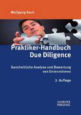 Praktiker-Handbuch Due Diligence