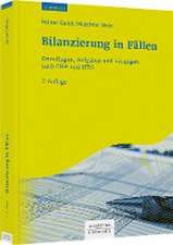 Bilanzierung in Fällen