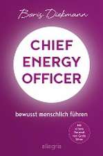 Chief Energy Officer