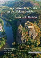 Burgen in Der Nordpfalz 'Wie Schwalben Nester an Den Felsen Geklebt...'