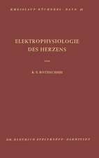 Elektrophysiologie des Herzens: Darstellung, Kritik, Probleme