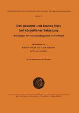 Das Gesunde und Kranke Herz bei körperlicher Belastung: Grundlagen für Funktionsdiagnostik und Therapie