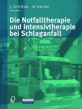 Die Notfalltherapie und Intensivtherapie bei Schlaganfall