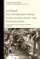 Die Schwäbischen Hüttenwerke zwischen Staats- und Privatwirtschaft