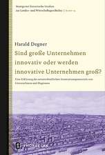 Sind Grosse Unternehmen Innovativ Oder Werden Innovative Unternehmen Gross?: Eine Erklarung Des Unterschiedlichen Innovationspotentials Von Unternehme