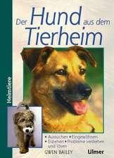 Bailey, G: Hund aus d. Tierheim