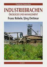 Industriebrachen