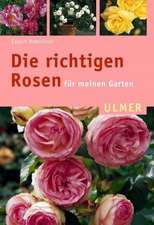 Haenchen, E: Richtigen Rosen