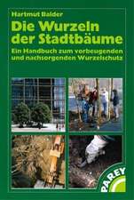 Die Wurzeln der Stadtbäume