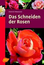 Das Schneiden der Rosen