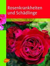 Rosenkrankheiten und Schädlinge