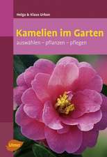 Kamelien im Garten