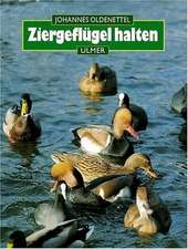 Ziergeflügel halten. Hühner- und Entenvögel