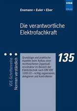 Die verantwortliche Elektrofachkraft