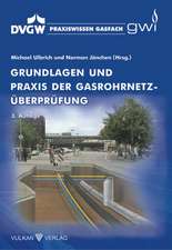 Grundlagen und Praxis der Gasrohrnetz-Überprüfung