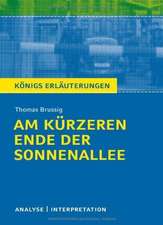 Am kürzeren Ende der Sonnenallee. Textanalyse und Interpretation zu Thomas Brussig