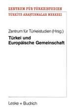 Türkei und Europäische Gemeinschaft: Eine Untersuchung zu positiven Aspekten eines potentiellen EG-Beitritts der Türkei für die Europäische Gemeinschaft