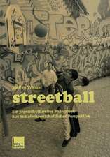 Streetball: Ein jugendkulturelles Phänomen aus sozialwissenschaftlicher Perspektive