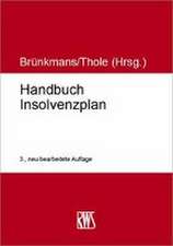 Handbuch Insolvenz- und Restrukturierungsplan