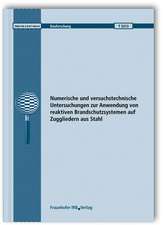 Numerische und versuchstechnische Untersuchungen zur Anwendung von reaktiven Brandschutzsystemen auf Zuggliedern aus Stahl. Abschlussbericht