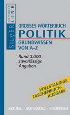 Grosses Wörterbuch Politik. Grundwissen von A - Z