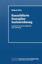 Konsolidierte Grenzplankostenrechnung: Instrument der Konzernplanung und -steuerung