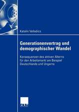 Generationenvertrag und demographischer Wandel: Konsequenzen des aktiven Alterns für den Arbeitsmarkt am Beispiel Deutschlands und Ungarns