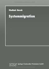 Systemmigration: Strategien für die Informatik