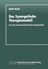 Das Synergetische Therapiemodell: Ein neues Konzept psychosozialer Gruppenarbeit