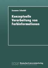 Konzeptuelle Verarbeitung von Farbinformationen