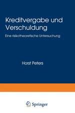 Kreditvergabe und Verschuldung: Eine risikotheoretische Untersuchung