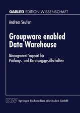 Groupware enabled Data Warehouse: Management Support für Prüfungs- und Beratungsgesellschaften