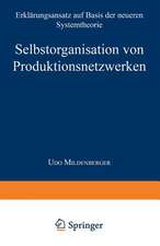 Selbstorganisation von Produktionsnetzwerken: Erklärungsansatz auf Basis der neueren Systemtheorie