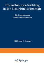 Unternehmensentwicklung in der Elektrizitätswirtschaft: Die Umsetzung des Nachfragemanagements